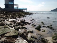 기글 하드웨어 사진 게시판 - 부산 송정