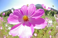 기글 하드웨어 사진 게시판 - 북천-진주 기행