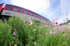 기글 하드웨어 사진 게시판 - 북천-진주 기행