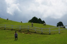 기글 하드웨어 사진 게시판 - 2010 일본 여행기 50, 롯코산 목장