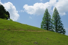 기글 하드웨어 사진 게시판 - 2010 일본 여행기 50, 롯코산 목장