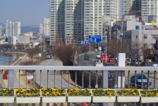 기글 하드웨어 사진 게시판 - 동성로