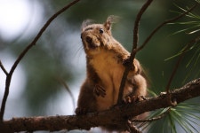 기글 하드웨어 사진 게시판 - 남이섬 다녀왔습니다.