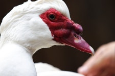 기글 하드웨어 사진 게시판 - 남이섬 다녀왔습니다.