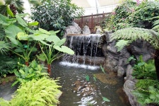 물향기를 따라 당신의 봄이 옵니다 : 문화 : 경기도뉴스포털 물향기를 따라 당신의 봄이 옵니다