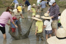 올 여름휴가는 경기농촌체험마을에서 : : 경기도뉴스포털 올 여름휴가는 경기농촌체험마을에서