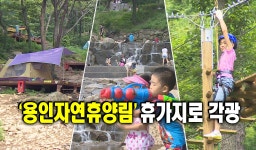 ‘용인자연휴양림’ 휴가지로 각광 : : 경기도뉴스포털 ‘용인자연휴양림’ 휴가지로 각광 