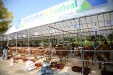 최고의 경기 축산물 맛보세요~ : : 경기도뉴스포털 최고의 경기 축산물 맛보세요~