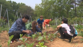 창의&#8729;인성 자라는 ‘학교 농장’ : : 경기도뉴스포털 창의∙인성 자라는 ‘학교 농장’