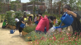 도심 속 텃밭.. 주민들 소통의 장으로 : : 경기도뉴스포털 도심 속 텃밭.. 주민들 소통의 장으로