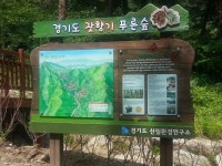 ‘피톤치드’ 가득한 잣나무 숲속으로 떠나요~ : 대학생SNS서포터즈 : 경기도뉴스포털 ‘피톤치드’ 가득한 잣나무 숲속으로 떠나요~