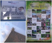 힘내요, 맹꽁 씨! : : 경기도뉴스포털 힘내요, 맹꽁 씨!