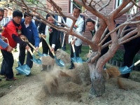 가평의 새로운 명소! ‘잣향기푸른숲’으로 놀러오세요 : : 경기도뉴스포털 가평의 새로운 명소! ‘잣향기푸른숲’으로 놀러오세요