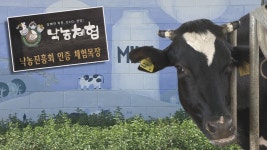 도내 축산농장의 아름다운 변신 : : 경기도뉴스포털 도내 축산농장의 아름다운 변신
