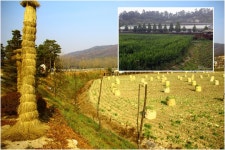 농촌체험교육농장 청계목장에서 신나는 하루 보내기 : : 경기도뉴스포털 농촌체험교육농장 청계목장에서 신나는 하루 보내기