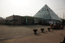 “안산식물원에도 봄이 왔어요!” : : 경기도뉴스포털 “안산식물원에도 봄이 왔어요!”