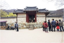이천 백사 산수유마을, 노란색으로 물들다 : : 경기도뉴스포털 이천 백사 산수유마을, 노란색으로 물들다