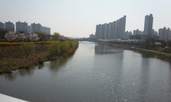 꽃놀이만으로는 부족한 2%를 채우려면&#63; : 기회기자단 : 경기도뉴스포털 꽃놀이만으로는 부족한 2%를 채우려면?