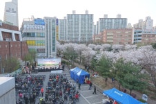 벚꽃비가 내리는 정평천에서 흥겨운 한마당이 열리다 : : 경기도뉴스포털 벚꽃비가 내리는 정평천에서 흥겨운 한마당이 열리다