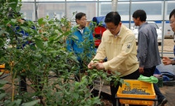 박수영 행정부지사, 메르스 삼중고 평택 농가 봉사활동 : : 경기도뉴스포털 박수영 행정부지사, 메르스 삼중고 평택 농가 봉사활동