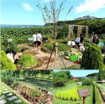경기도뉴스포털