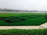작지만 강한, 농업은 희망이다 : : 경기도뉴스포털 작지만 강한, 농업은 희망이다