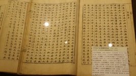 경기도뉴스포털