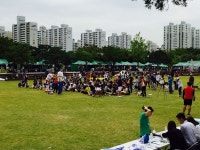 강아지들의 화려한 외출, ‘2015 경기 반려동물 어울림한마당’... 강아지들의 화려한 외출, ‘2015 경기 반려동물 어울림한마당’