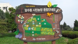 “당수동 시민농장에서 가을을 느끼세요” : : 경기도뉴스포털 “당수동 시민농장에서 가을을 느끼세요”