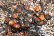 경기도뉴스포털