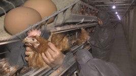 뉴스포털 뉴스포털 | 양주시청