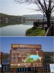 화창한 봄날 반려견과 함께 가기 좋은 분당 율동공원 방문기 : : 경기도뉴스포털 화창한 봄날 반려견과 함께 가기 좋은 분당 율동공원 방문기