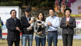 ‘2016 경기 반려동물 어울림 한마당’ 23일 개최 : 문화 : 경기도뉴스포털 ‘2016 경기 반려동물 어울림 한마당’ 23일 개최
