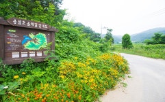 용설호수에 가면 별빛이 내린다~ : 사회 : 경기도뉴스포털 용설호수에 가면 별빛이 내린다~