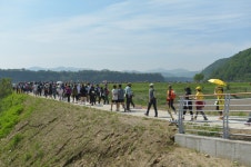 가을 꽃 피는 행주나루길로 가자! : : 경기도뉴스포털 가을 꽃 피는 행주나루길로 가자!