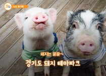 뉴스포털 뉴스포털 | 양주시청