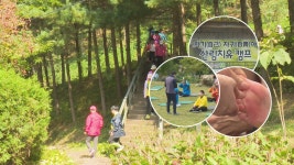 산림치유 캠프 ‘자기自己-자기自貴야’ : : 경기도뉴스포털 산림치유 캠프 ‘자기自己-자기自貴야’