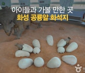 뿔공룡이 살았던 아이들과 함께 가볼 만한 곳 화성 공룡알 화석지 : : 경기도뉴스포털 뿔공룡이 살았던 아이들과 함께 가볼 만한 곳 화성 공룡알... 