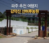 파주 추천 여행지 감악산 산머루농원 : : 경기도뉴스포털 노화 안녕! 산머루 와인 체험장이 있다? 파주 추천 여행지 감악산 산머루농원