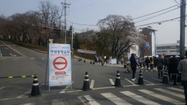 [경대기 포토뉴스] 경기도청에서 봄바람과 함께 즐기는 벚꽃축제! : : 경기도뉴스포털 [경대기 포토뉴스] 경기도청에서 봄바람과 함께 즐기는... 