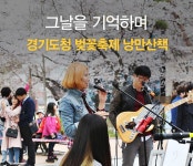 2017 경기도청 벚꽃축제 낭만산책을 기억하다! 버스킹 음악이 흘렀던 벚꽃길 : : 경기도뉴스포털 2017 경기도청 벚꽃축제 낭만산책을 기억하다!... 