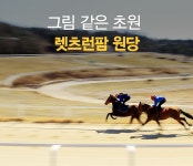 그림 같은 초원 위의 말 보러 가실 분~ 원당 종마목장! 렛츠런팜 원당! : : 경기도뉴스포털 그림 같은 초원 위의 말 보러 가실 분~ 원당 종마목장!... 