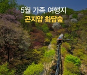 다가오는 가정의 달 가족여행으로 딱 좋은 생태수목원 곤지암 화담숲 : 일반기자단 : 경기도뉴스포털 다가오는 가정의 달 가족여행으로 딱 좋은... 