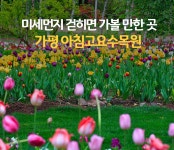 미세먼지 걷히면 가볼 만한 아름다운 그곳! 경기도 가평 아침고요수목원 모습 : 일반기자단 : 경기도뉴스포털 미세먼지 걷히면 가볼 만한 아름다운... 