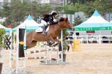 도심서 즐기는 환상의 마술&#40;馬術&#41; 한마당~ : : 경기도뉴스포털 도심서 즐기는 환상의 마술(馬術) 한마당~