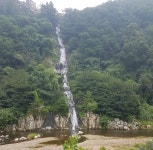 구리소식 > 경기도 소식 - 구리시청 구리시청 홈페이지