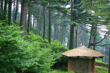 경기도 여름휴가 추천-쉬엄쉬엄 걷기 좋은 숲길 경기도 잣향기 푸른숲 : : 경기도뉴스포털 경기도 여름휴가 추천-쉬엄쉬엄 걷기 좋은 숲길 경기도... 