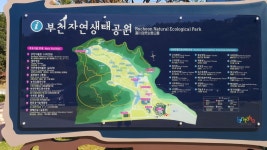 누에야~ 누에야~ 실을 뽑아라! : : 경기도뉴스포털 누에야~ 누에야~ 실을 뽑아라!