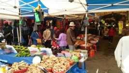 기회기자단(2025) 전체 : 경기도뉴스포털