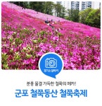 분홍 물결 가득한 경기도 군포 철쭉동산, 철쭉축제를 즐겨요! : 경기도뉴스포털 : 경기도뉴스포털 철쭉의 메카! 분홍 물결 가득한 경기도 군포... 